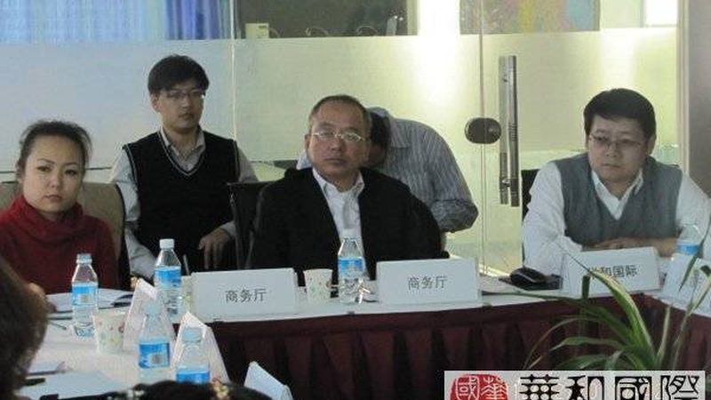 IPO咨询项目周期解析：从启动到成功的必经之路